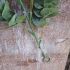 Eucalyptus Garland Artificial - 180cm - Sincere