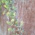 Lavender Eucalyptus Garland Artificial - 180cm - Sincere