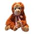 Valentine's Orangutan Soft Toy With Sweets & Chocolate - Gift Wrapped