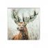 Charity Christmas Card Pack - 6 Cards - Stag Adorn & Admire - Shelter