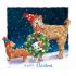 Luxury Boxed Christmas Cards - 12 Cards 3 Designs - Xmas Fun Dog Cat - Ling Design