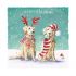 Luxury Boxed Christmas Cards - 12 Cards 3 Designs - Xmas Fun Dog Cat - Ling Design