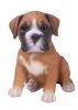 1548842122PPBOXRFBoxerPuppyPetPal.jpg