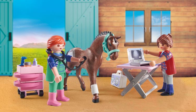 Playmobil veterinarian on sale