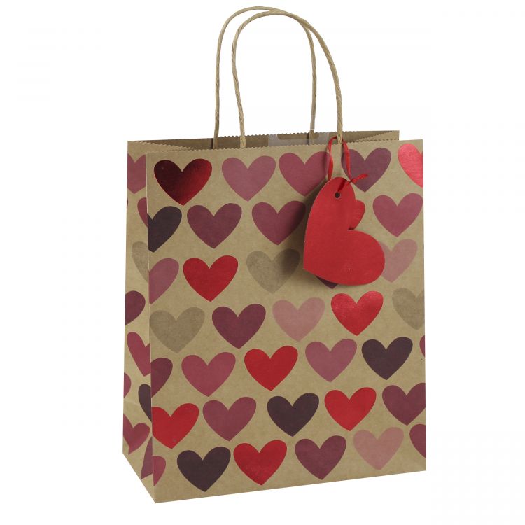Heart Kraft Medium Gift Bag - Eurowrap 21x25x10cm | Gift Envy