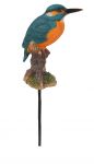 Kingfisher - Plant Pal - Lifelike Garden Ornament Gift - Indoor or Outdoor Vivid Arts