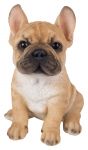French Golden Bulldog Puppy Dog - Lifelike Ornament Gift - Indoor or Outdoor - Pet Pals