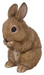 Baby Rabbit Sitting - Lifelike Garden Ornament - Indoor or Outdoor - Real Life Vivid Arts