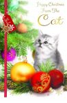 Christmas Card - From The Cat - Tabby Kitten Sitting - Gift Envy